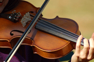 violinthumb